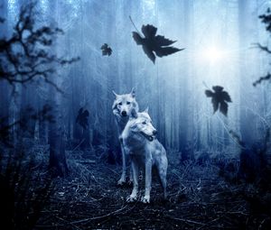 Превью обои волки, хищники, лес, фотошоп