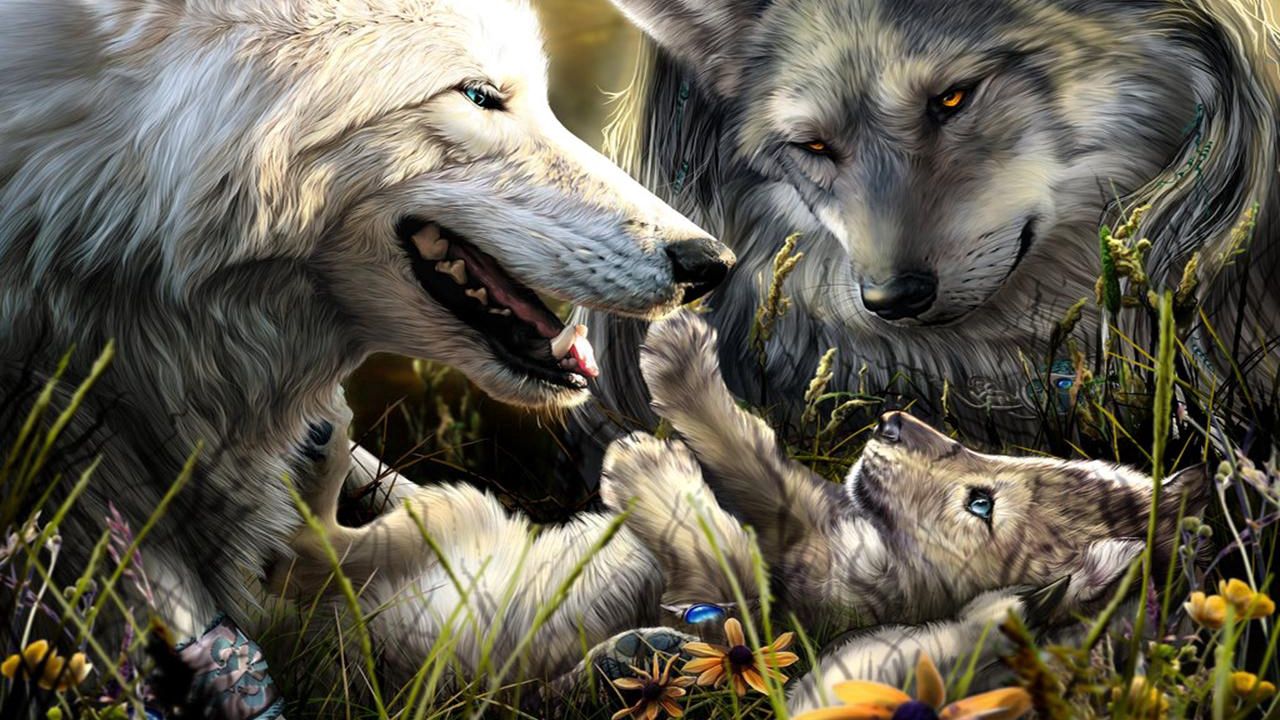 Обои волки, семья, рождение, любовь, малыш
