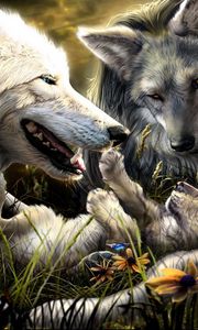 Превью обои волки, семья, рождение, любовь, малыш
