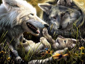 Превью обои волки, семья, рождение, любовь, малыш