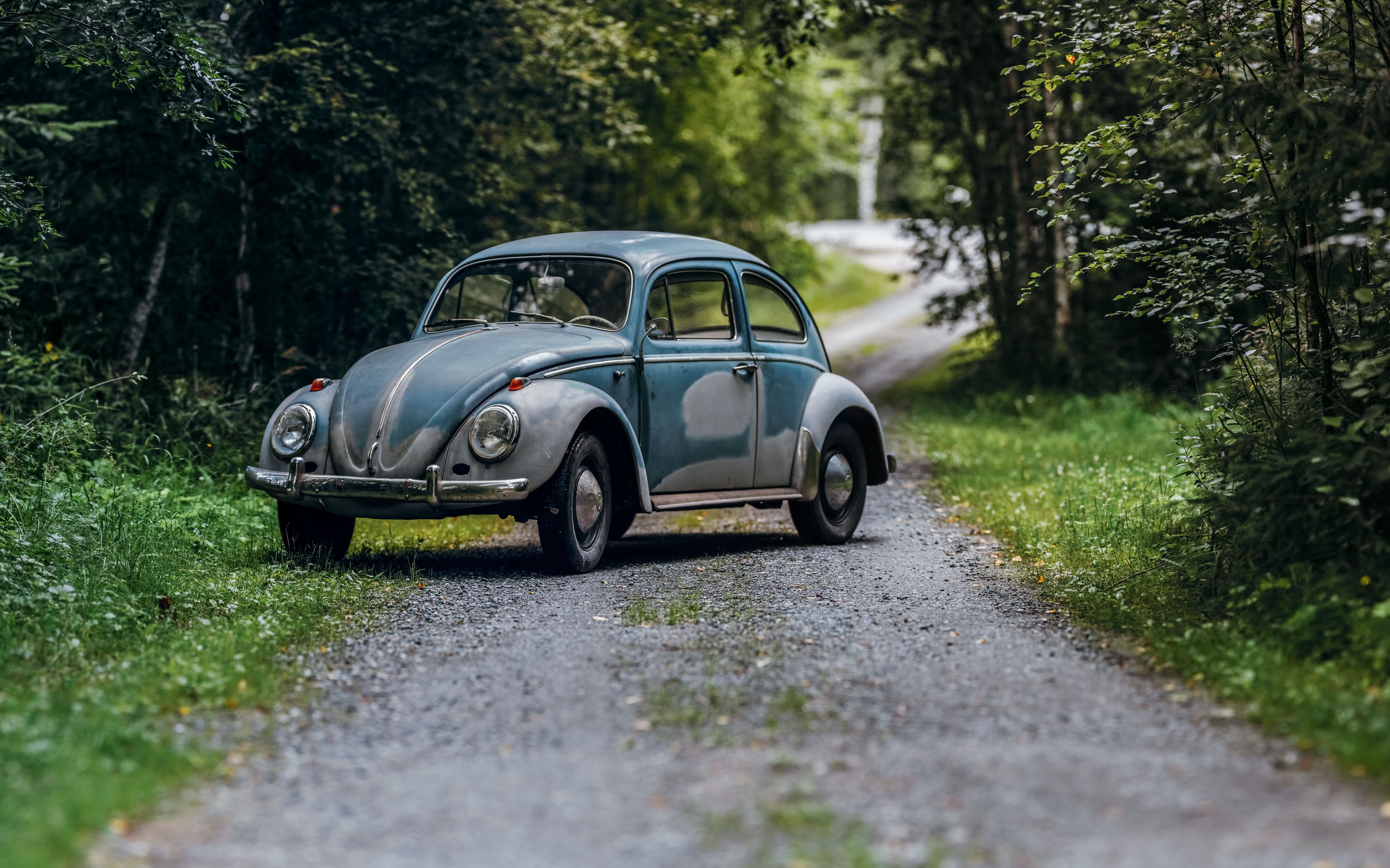 4k VW Beetle