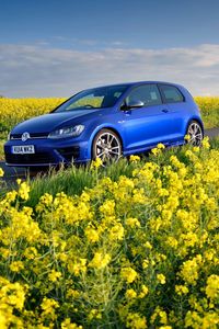 Превью обои volkswagen, golf r, mk7, цветы, поле