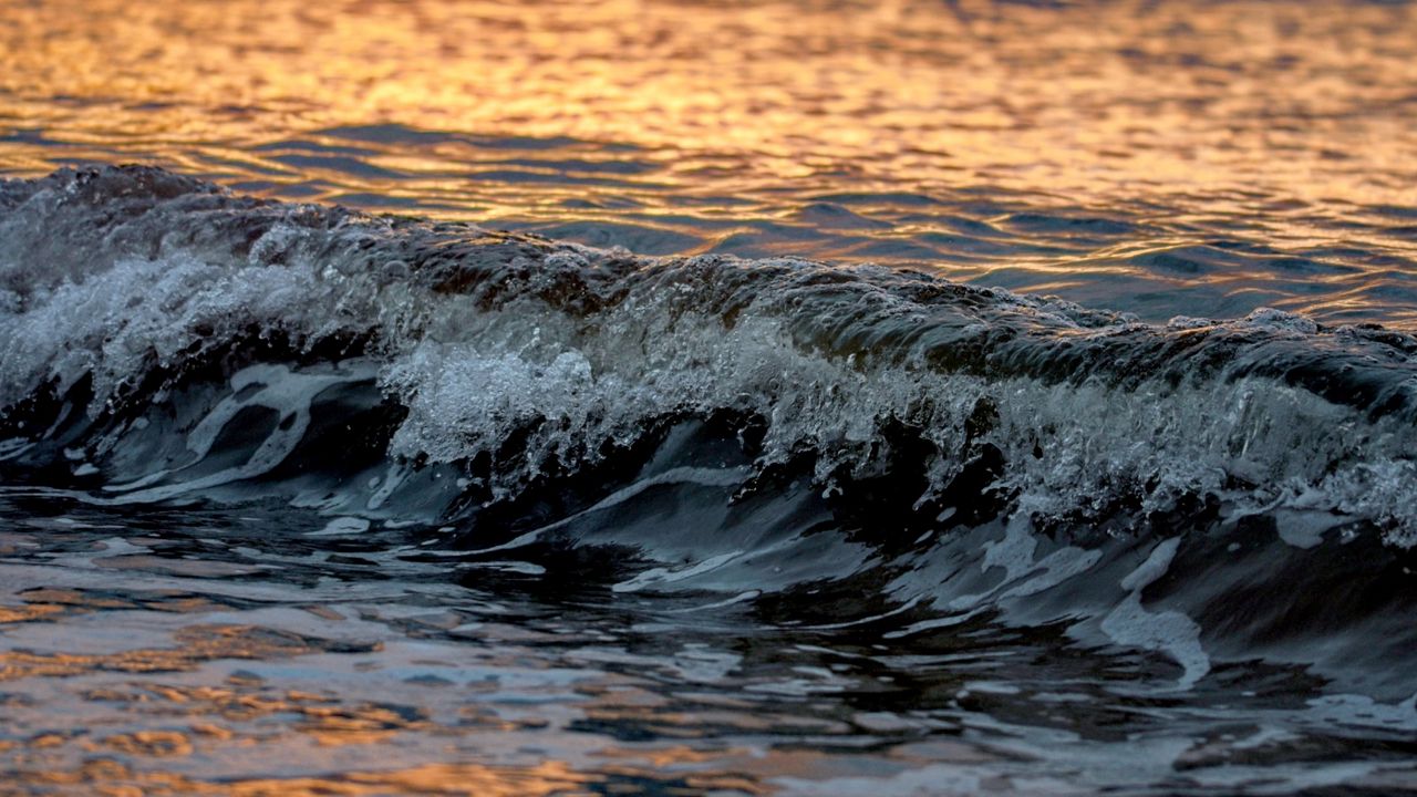 Обои волна, море, блики, закат