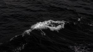 Превью обои волны, море, чб, пена