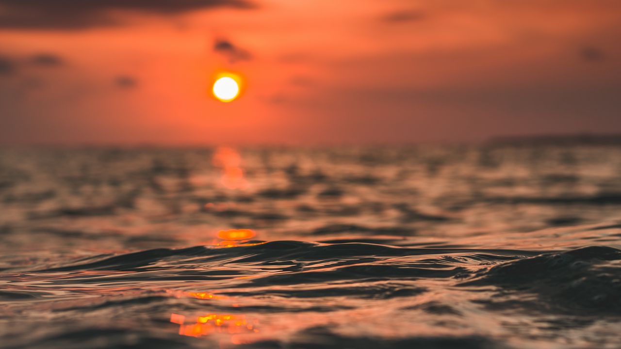 Обои волны, солнце, закат, вода, поверхность