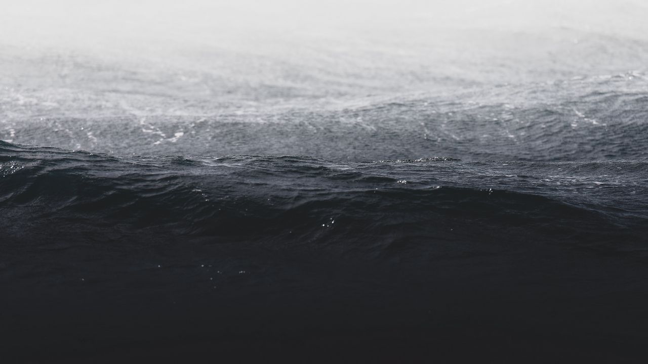 Обои волны, вода, чб, океан