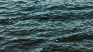 Превью обои волны, вода, рябь, волнистый