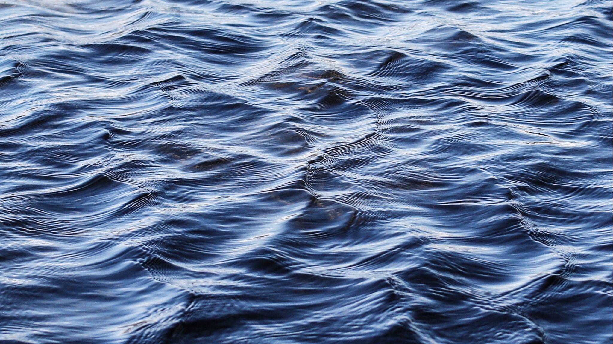 Волна бегущая по поверхности воды