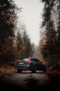 Превью обои volvo v90, volvo, автомобиль, серый, лес, осень
