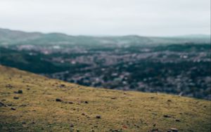 Превью обои ворон, полет, пейзаж, серый, горизонт