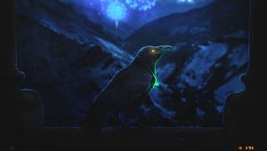 Превью обои ворон, птица, ночь, фейерверк, темный