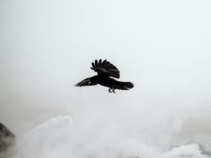 Превью обои ворон, птица, скалы, туман
