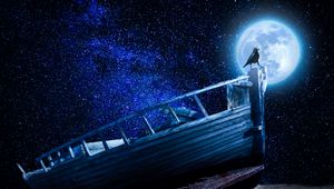 Превью обои ворон, звездное небо, лодка, луна, галька
