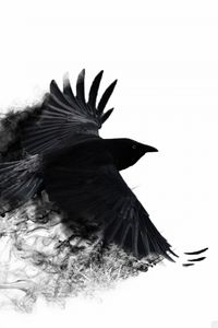 Превью обои ворона, крылья, птица, взмах