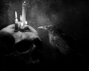 Превью обои ворона, птица, рисунок, череп, свеча