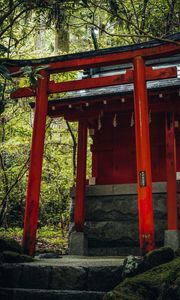Превью обои ворота тории, храм, святилище, япония, архитектура
