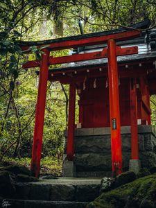 Превью обои ворота тории, храм, святилище, япония, архитектура