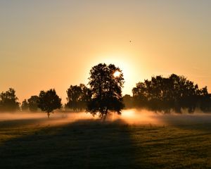 Превью обои восход, туман, деревья, рассвет, утро