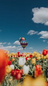 Превью обои воздушный шар, аэростат, тюльпаны, поле, небо