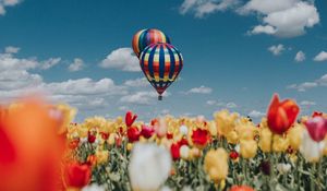 Превью обои воздушный шар, аэростат, тюльпаны, поле, небо