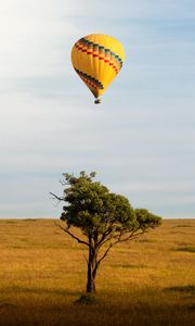 Превью обои воздушный шар, полет, дерево, горизонт