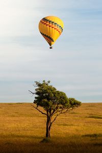 Превью обои воздушный шар, полет, дерево, горизонт