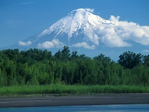 Превью обои вулкан, камчатка, лес