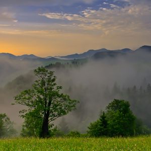 Превью обои высота, деревья, облака, небо, рассвет