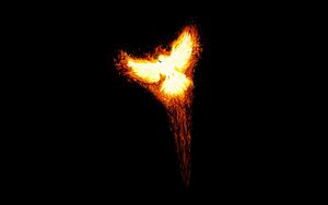 Превью обои взлет, phoenix, миф, огонь, птица, феникс, минимализм