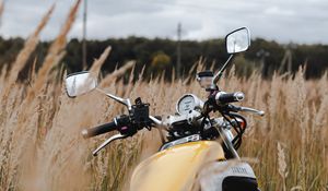 Превью обои yamaha, байк, мотоцикл, вид сзади, колосья