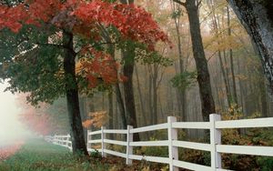 Превью обои забор, деревья, туман, осень, листья