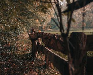 Превью обои забор, деревянный, деревья, кусты, природа