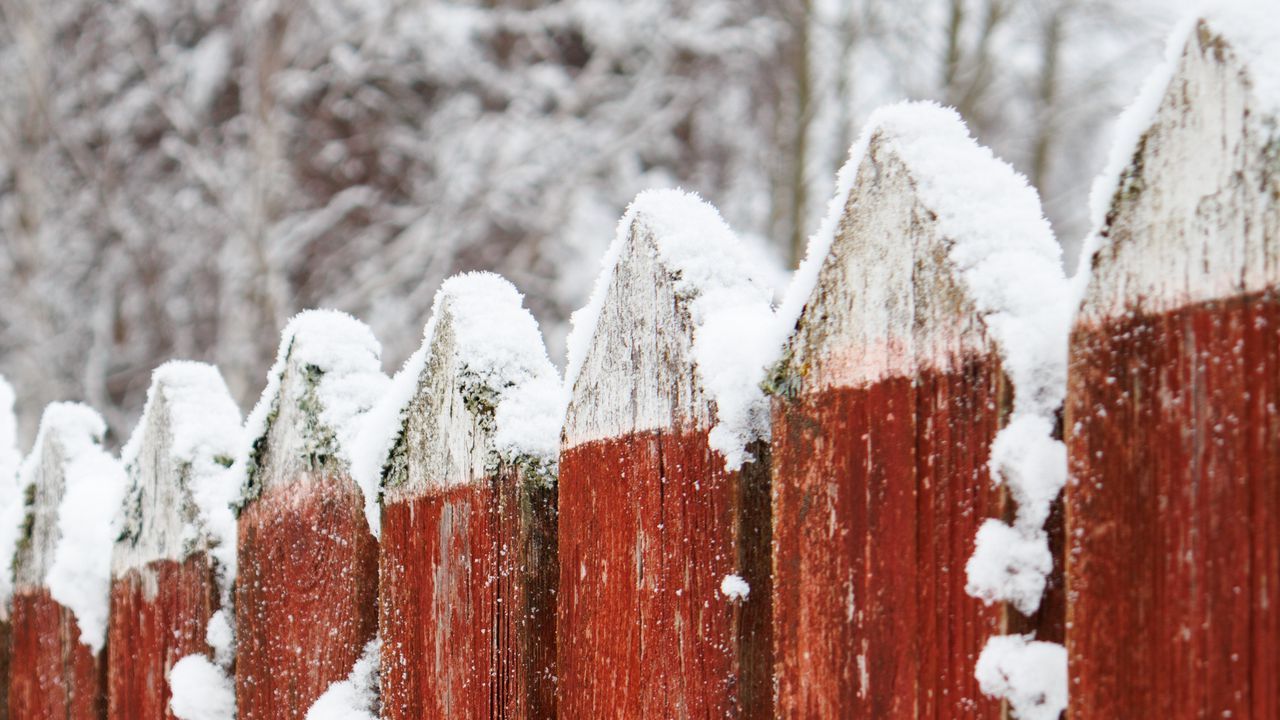 Обои забор, деревянный, снег, красный