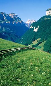 Превью обои забор, горы, склоны, луга, зелень, пастбище, деревья, швейцария