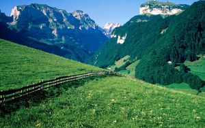 Превью обои забор, горы, склоны, луга, зелень, пастбище, деревья, швейцария