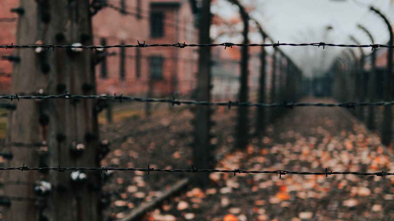Обои забор, колючая проволока, проволока, шипы