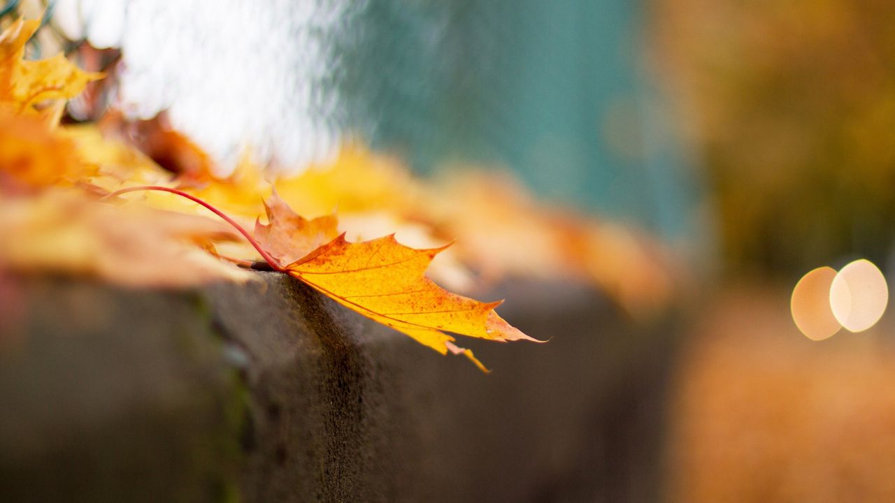красивые строчки про осень под фото