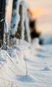 Превью обои забор, ограждение, снег, травинки