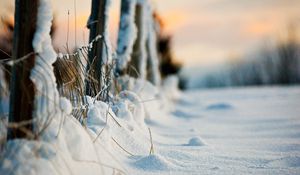 Превью обои забор, ограждение, снег, травинки