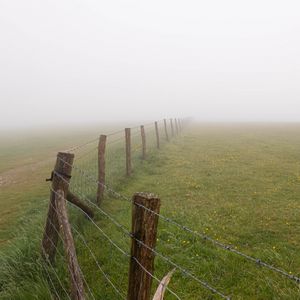 Превью обои забор, трава, поле, цветы, туман
