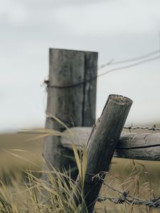 Превью обои забор, трава, проволока, колючая