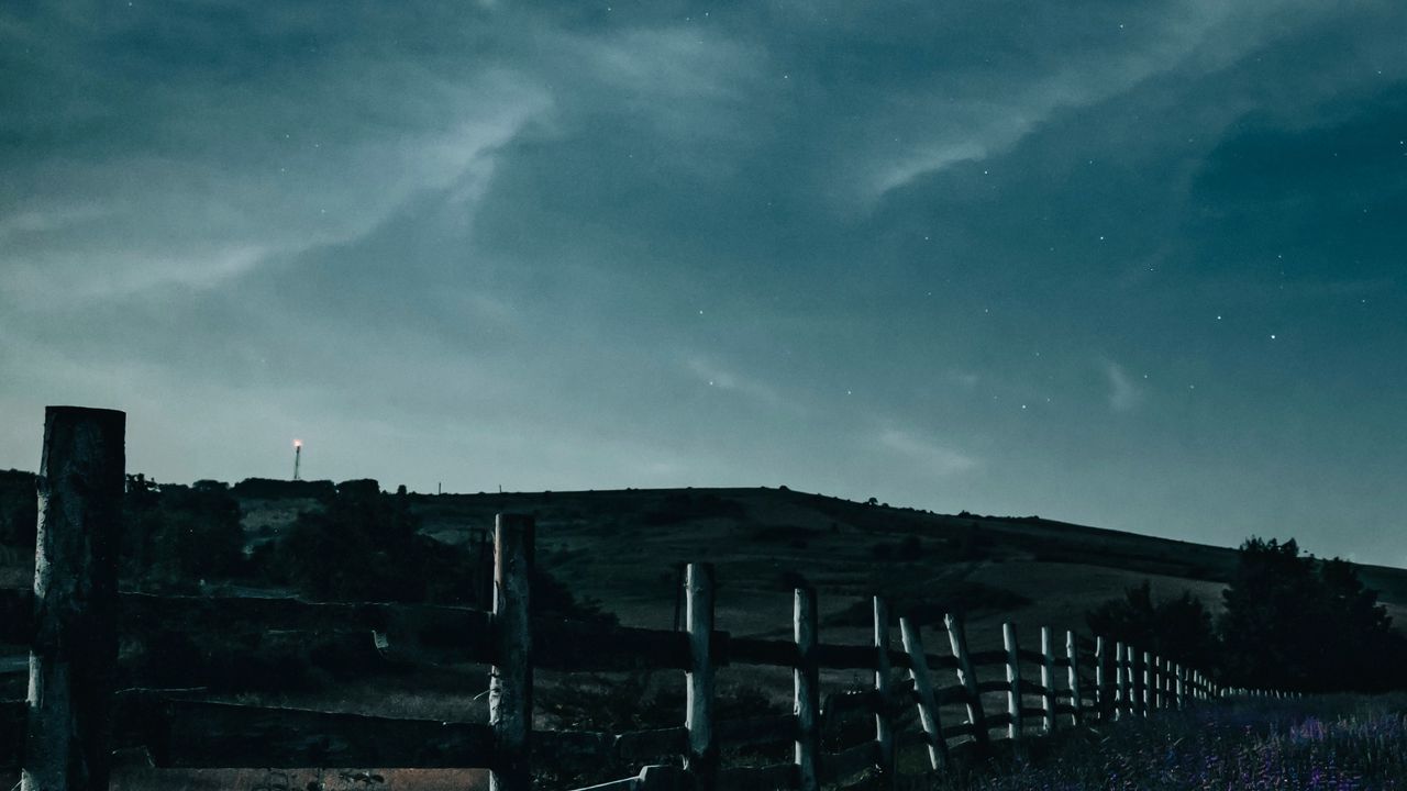 Обои забор, цветы, звездное небо, ночь