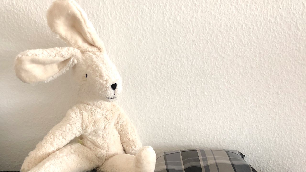 Обои заяц, игрушка, мягкий, диван