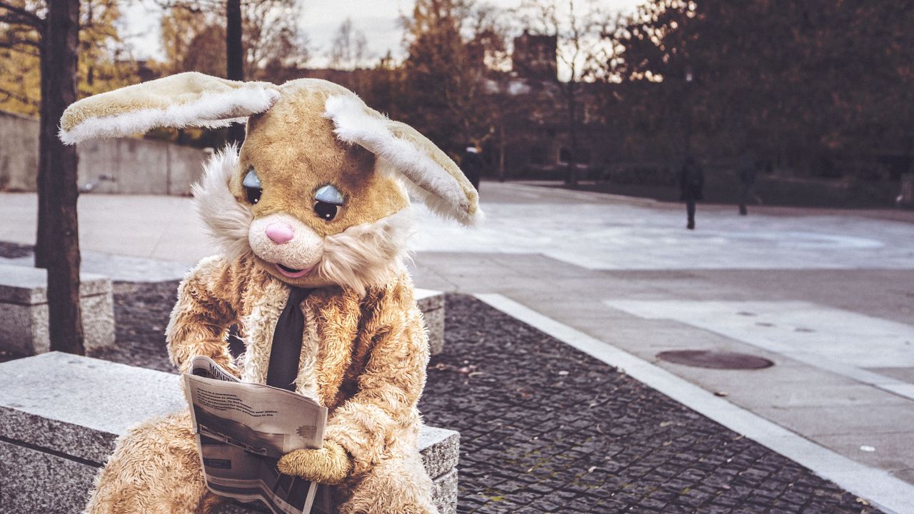 Обои заяц, костюм, чтение