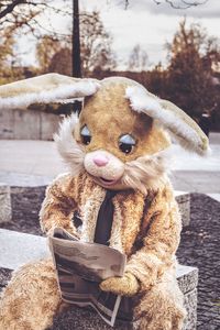 Превью обои заяц, костюм, чтение