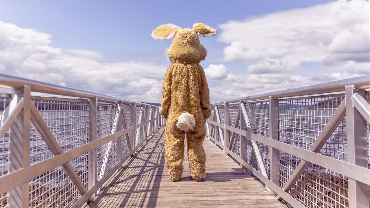 Обои заяц, костюм, мост, одиночество