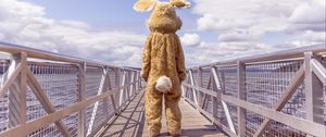 Превью обои заяц, костюм, мост, одиночество