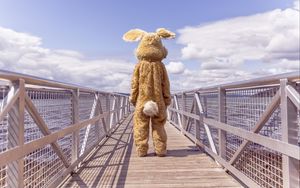 Превью обои заяц, костюм, мост, одиночество