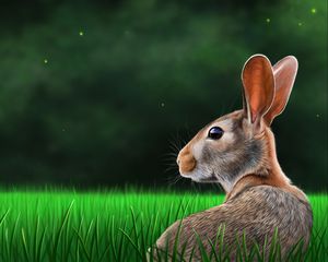 Превью обои заяц, кролик, профиль, трава, арт