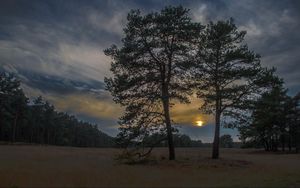 Превью обои закат, деревья, небо, ночь